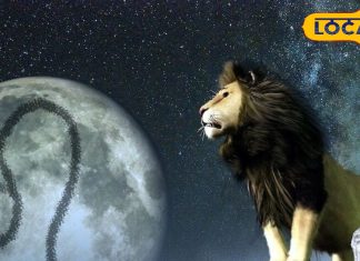 Singh Rashifal: आज शानदार दिन, सिंह राशि वालों का भाग्य देगा साथ, जहां हाथ लगाएंगे वहां सफलता, जानें सब