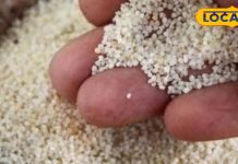 व्रत वालों के लिए फायदेमंद है ये पौष्टिक अनाज, पूरे दिन शरीर रखेगा चार्ज