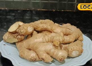 खाली पेट अदरक का पानी पीने के इतने फायदे, 30 दिनों बाद धन्य हो जाएगा जीवन