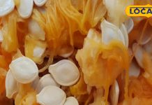 इस बीज में चमत्कारिक शाक्ति, बीमारियों में रामबाण, अस्पतालों के चक्कर से दिलाए मुक्ति