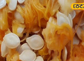 इस बीज में चमत्कारिक शाक्ति, बीमारियों में रामबाण, अस्पतालों के चक्कर से दिलाए मुक्ति