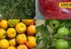 डायबिटीज वाले इन फल और सब्जियों का करें सेवन, शुगर लेवल रहेगा कंट्रोल