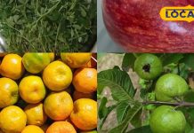 डायबिटीज वाले इन फल और सब्जियों का करें सेवन, शुगर लेवल रहेगा कंट्रोल