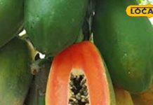 जान गए पपीते के बीज के ये फायदे, तो इसे कूड़े में फेंकना बंद कर देंगे आप