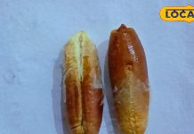 खजूर के बीजों के फायदे जानकर रह जाएंगे हैरान, इन बीमारियों में मिलेगा आराम