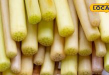 इस फूल की जड़ करती है शुगर कंट्रोल, वजन घटाने में भी रामबाण