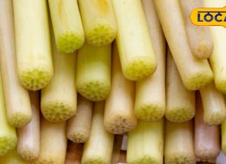 इस फूल की जड़ करती है शुगर कंट्रोल, वजन घटाने में भी रामबाण