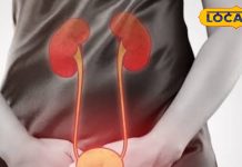 पब्लिक टॉयलेट के इस्तेमाल से यूरिन इंफेक्शन का खतरा, किडनी तक हो सकती है डैमेज