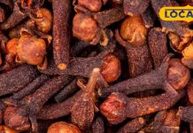 रात में खाएं सिर्फ 2 लौंग, सर्दी-खांसी के अलावा कई बीमारियों को कर देगा दूर, एक्सपर्ट ने बताए फायदे और सेवन का तरीका