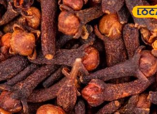 रात में खाएं सिर्फ 2 लौंग, सर्दी-खांसी के अलावा कई बीमारियों को कर देगा दूर, एक्सपर्ट ने बताए फायदे और सेवन का तरीका