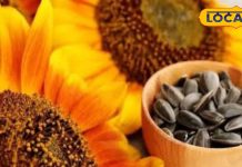 इस फूल का बीज है बड़ा फायदेमंद, इतनी बीमारियों में देता है आराम