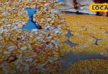 Winter Food: सर्दियों में भरतपुर में इस गजक के दीवाने हैं लोग, स्वाद में होती है लाजवाब, जानें क्या है इसका दाम?