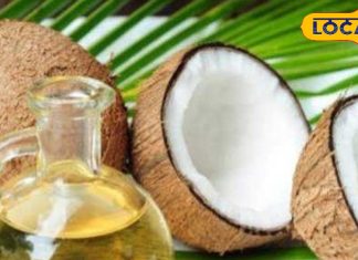 नारियल तेल में नींबू मिलाकर लगाने से दूर होती हैं हेयर और स्किन की कई समस्याएं, जानें एक्सपर्ट की सलाह