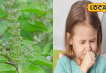 बच्चों की छाती में जम गया है कफ तो आज ही करें ये उपाय, चुटकियों में मिलेगी राहत, नहीं होगा साइड इफेक्ट!