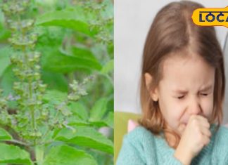 बच्चों की छाती में जम गया है कफ तो आज ही करें ये उपाय, चुटकियों में मिलेगी राहत, नहीं होगा साइड इफेक्ट!