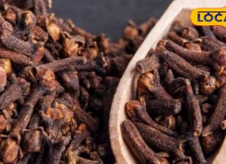 रोज 2 लोंग खा ली तो दूर हो जाएगी हर बीमारी, मुंह से बदबू नहीं आएगी, शुगर के मरीजों को भी मिलेगा फायदा! – Bharat.one हिंदी