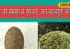 ब्लोटिंग की समस्या से हैं परेशान, खाने में इन दो चीजों को कर लें शामिल, शरीर रहेगा पूरी तरह से फिट