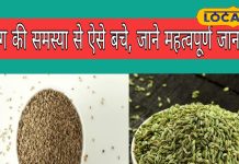 ब्लोटिंग की समस्या से हैं परेशान, खाने में इन दो चीजों को कर लें शामिल, शरीर रहेगा पूरी तरह से फिट