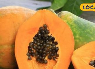 वजन घटाने से लेकर दाग-धब्बे हटाने तक, हर मर्ज की दवा है ये फल