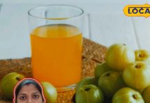 Amla ke Fayde:अमृत से कम नहीं आंवला, हेल्थ एक्सपर्ट से जानें इसे खाने का सही तरीका