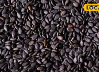 भगवान को चढ़ाई जाने वाली इस चीज में छिपे हैं आयुर्वेदिक गुण, हड्डियों को वज्र जैसे कर देगा मजबूत!