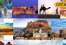 जयपुर की 5 टॉप जगहें, इस जगह है दुनिया की सबसे बड़ी तोप, यहां शाही जिंदगी का होगा एहसास – Bharat.one हिंदी