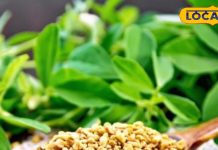 चेहरे पर चाहते हैं निखार, इस छोटे से दाने का ऐसे करें सेवन, 21 दिनों में ही दिखने लगेंगे चमत्कार!