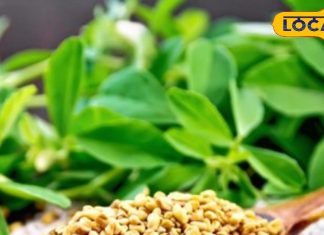 चेहरे पर चाहते हैं निखार, इस छोटे से दाने का ऐसे करें सेवन, 21 दिनों में ही दिखने लगेंगे चमत्कार!