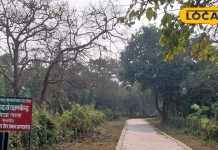 यूपी के इस ताल में हैं 400 मगरमच्छ, धूप होने पर टीलों पर दिखता है अनोखा नजारा, पर्यटकों की लगती है बंपर भीड़