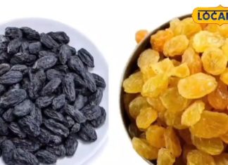 भूरी या काली; किशमिश के रंग में छिपा है सेहत का राज…! जानें कौन सी रखेगी आपका डाइजेशन दुरुस्त?