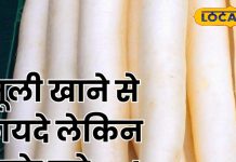 मूली के फायदे तो हैं बेमिसाल, लेकिन ज्यादा खाने से हो सकता है ये नुकसान, जानें एक्सपर्ट की राय