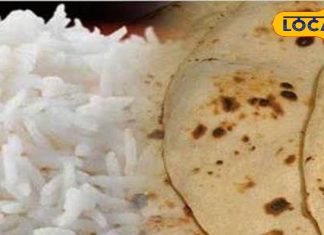Roti or Rice: हेल्दी रहने के लिए क्या खाएं क्या न खाएं? डॉक्टर रमेश से जानें जवाब