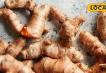 कच्ची हल्दी खाने से क्या होते हैं फायदे और क्या है इसके नुकसान, जानिए एक्सपर्ट की राय