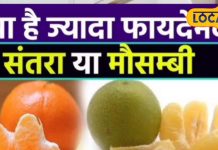मौसंबी या संतरा, दोनों में से कौन सा फल सेहत के लिए फायदेमंद? एक्सपर्ट ने बताया