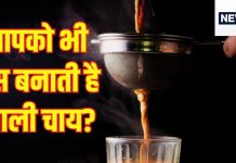 Healthy Snacks: खाली चाय पीने से बनती है गैस? सर्दियों में ट्राई करें ये 7 सुपर-हेल्दी Tea Snacks
