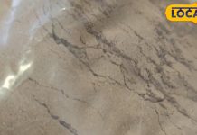 ये है कमजोर बालों के लिए ब्रह्मास्त्र, लगाने से बुढ़ापे तक रहेंगे काले! आदिवासी बनाते हैं कमाल का पाउडर