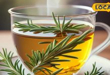 स्वास्थ्य के लिए बेहद लाभकारी है ये चाय, बालों के लिए खासतौर पर फायदेमंद – Bharat.one हिंदी