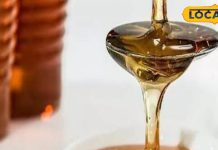 सेहत के लिए अमृत समान है पहाड़ी शहद, जानें इसके चमत्कारी फायदे – Bharat.one हिंदी