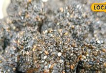 सर्दियों में खाएं तिल के लड्डू, शरीर को मिलेंगे कई जबरदस्त फायदे