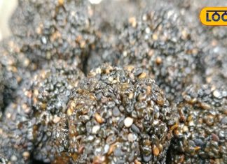 सर्दियों में खाएं तिल के लड्डू, शरीर को मिलेंगे कई जबरदस्त फायदे