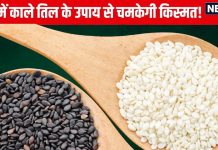 Kale Til Ke Upay: माघ माह में करें काले तिल के ये 5 उपाय, बढ़ेगा धन, वैभव और सुख, पितर भी खुश होकर देंगे आशीर्वाद