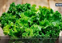100 बीमारियों से बचा सकता है यह हरा पत्ता ! इसके आगे पालक-मेथी फेल, ऐसे मरीज ज्यादा न खाएं, वरना…