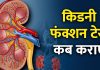 किडनी फंक्शन टेस्ट: महत्वपूर्ण जानकारी और नॉर्मल रेंज