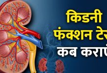 किडनी फंक्शन टेस्ट: महत्वपूर्ण जानकारी और नॉर्मल रेंज