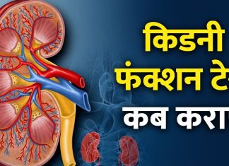 किडनी फंक्शन टेस्ट: महत्वपूर्ण जानकारी और नॉर्मल रेंज