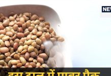 हेल्थ के लिए हीरा है इस चीज की दाल, पेट साफ करने से लेकर बवासीर तक से छुटकारा, ताकत भी जबर्दस्त खजाना