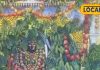 Maa Bageshwari in Khargone decorated with fruits and vegetables on Shakambhari Purnima Know amazing importance and tradition