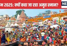 Mahakumbh Amrut Snan: शाही स्नान को क्यों किया गया अमृत स्नान? जूना अखाड़े के पीठाधीश्वर ने बताई वजह