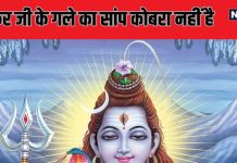 Mahakumbh: कौन सा है वह सांप जो शंकर जी के गले में दिखता है, कहां है उसका मंदिर?