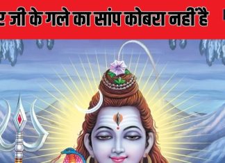 Mahakumbh: कौन सा है वह सांप जो शंकर जी के गले में दिखता है, कहां है उसका मंदिर?